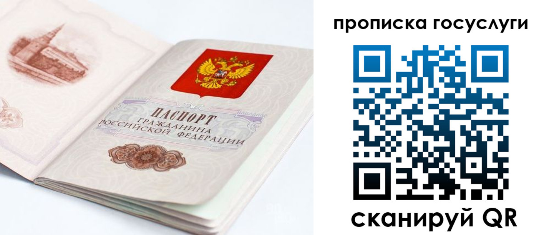 временная регистрация в Завитинске